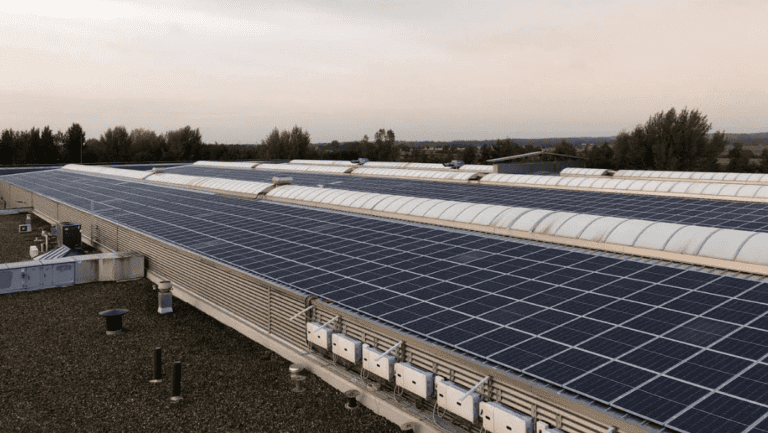 Opgewekt Rijssen | om realiseert grootste zonnedak als postcoderooscoöperatie
