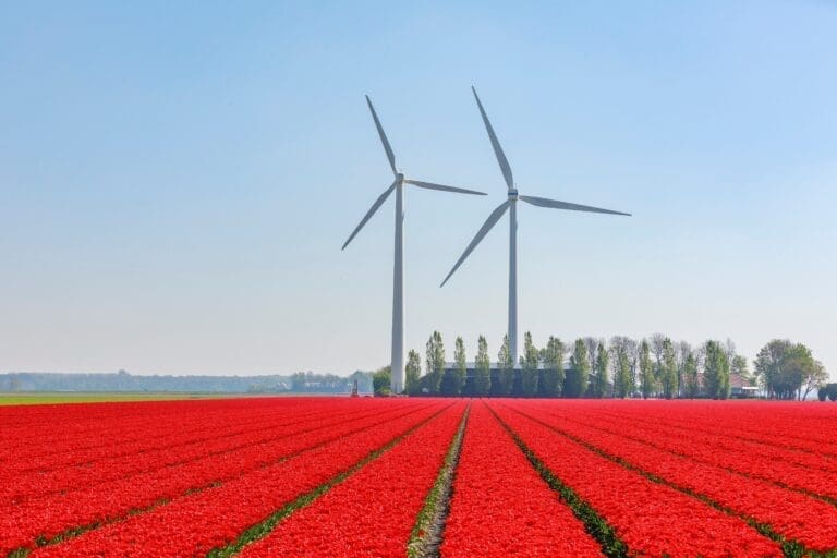 Nederland is een echt windland